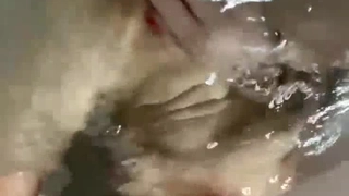 浓稠精液连续中出性爱，进入一个极其色情的巨乳已婚妇女的角质阴道，滴着母乳！桑田实里